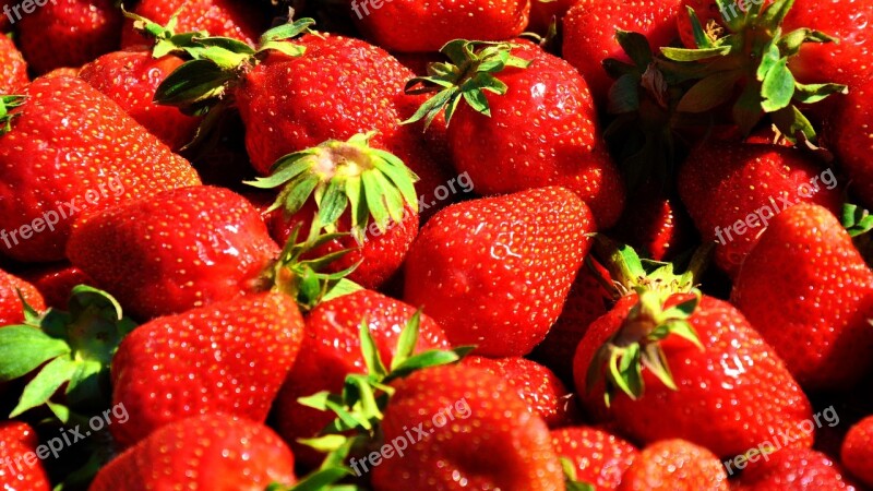 Fruit Strawberry Red Strawberries Spring Free Photos