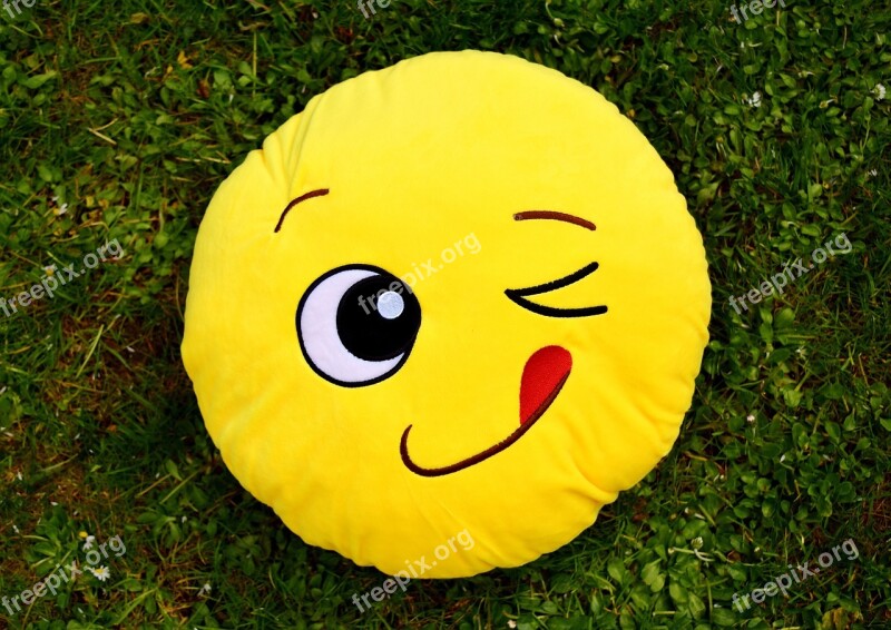 Smiley Funny Wink Cheerful Colorful