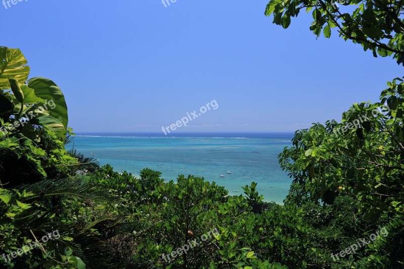 Okinawa Blue Sea Coral Reefs Free Photos