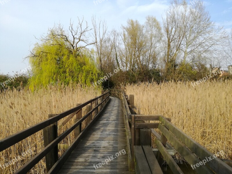 Marano Lagunare Laguna Venetian Lagoon Canneto Free Photos