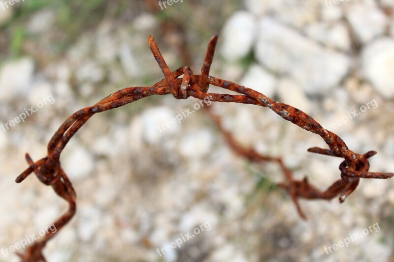 Wire Barbed Wire Rust Stone Rocky Soil