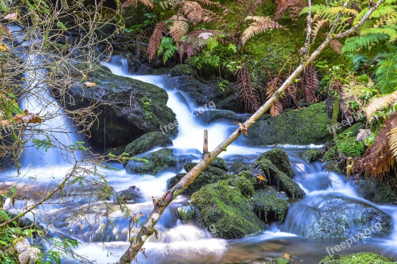 Water Bach Austria Green Stones