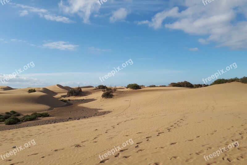 Gran Canaria Maspalomas Sand Dunes Canary Islands Beach