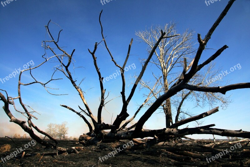 Landscape Nature Wildfire Siberia Blue Sky