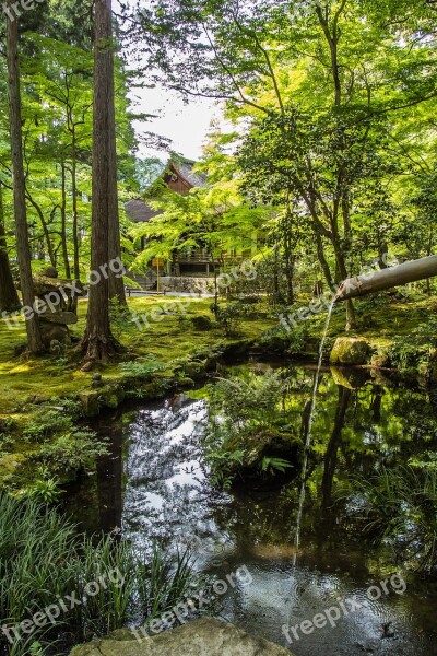 Landscape Natural Garden Japan Plant