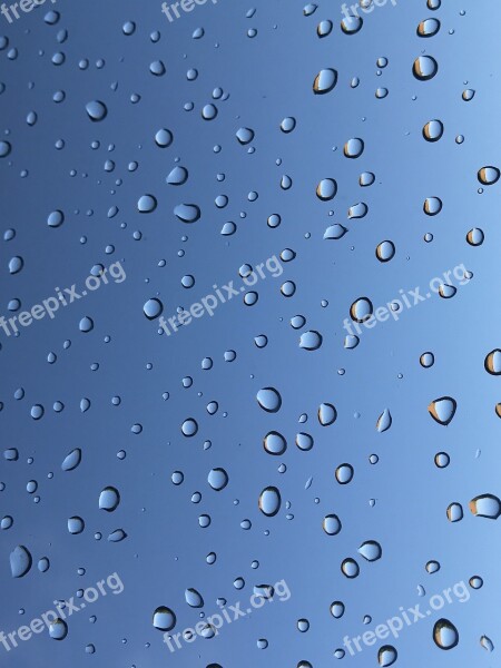 Raindrops Rain Water Drop Wet