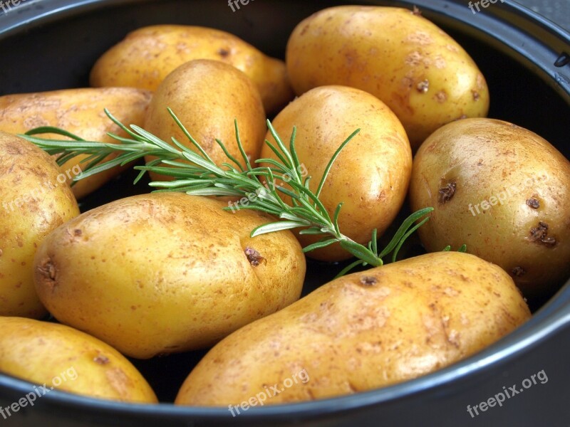 Potatoes Rosemary Grill Potatoes Free Photos