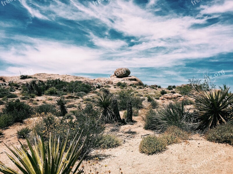 Desert California Landscape Nature Sand