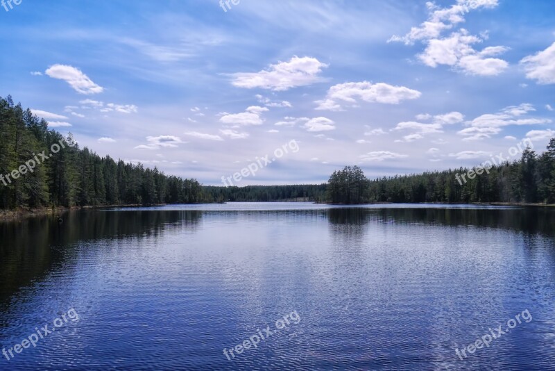 Forest Cloud Tree Himmel Lake