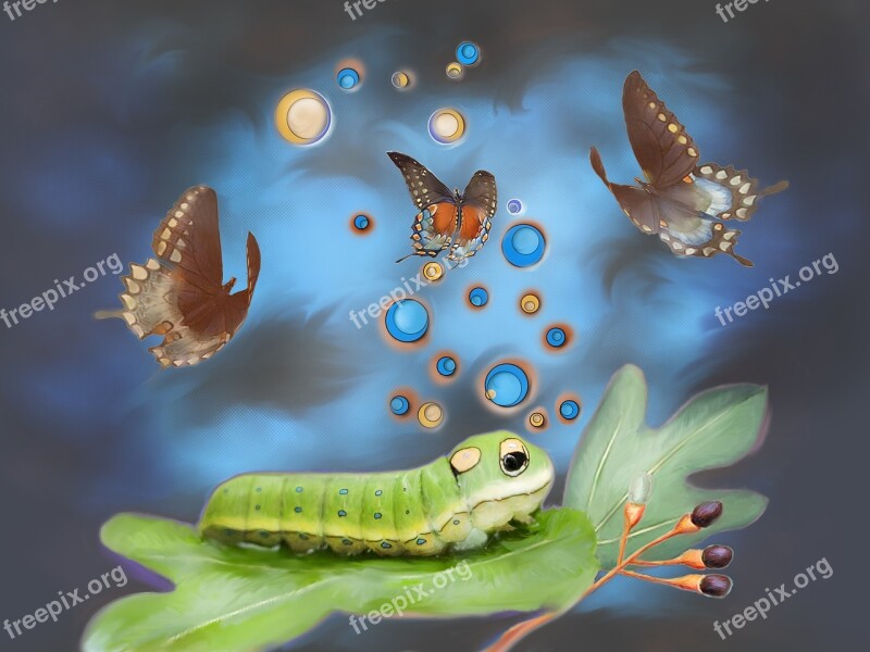 Spicebush Swallowtail Caterpillar Fantasy Photo Art Pixel Painting