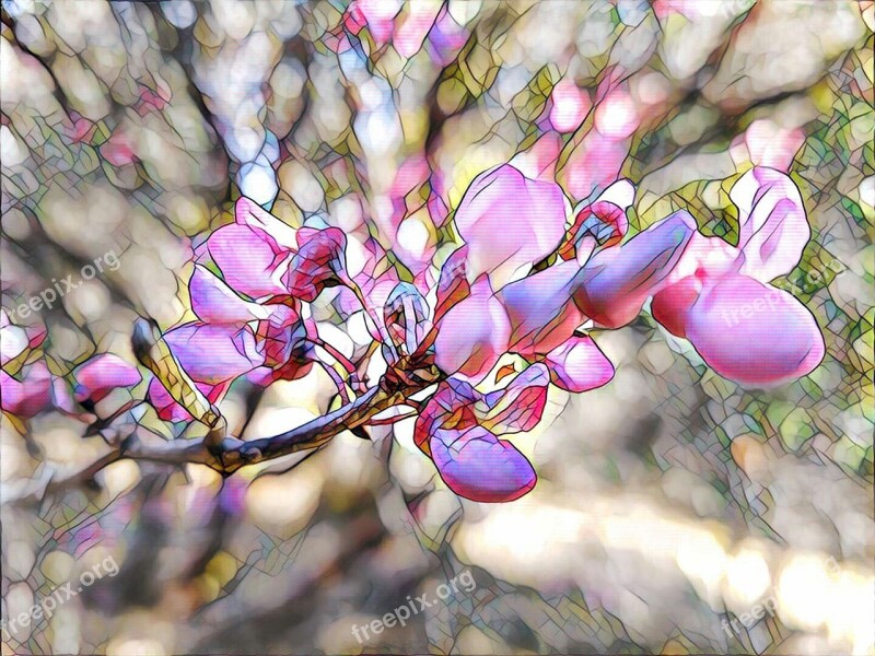 Redbud Flower Stylized Art Pink