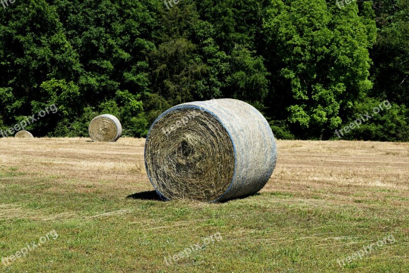 Hay Bale Agriculture Farm Straw