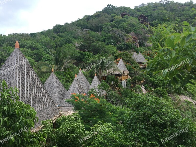 Thailand Bungalow Koh Phi Phi Jungle Island