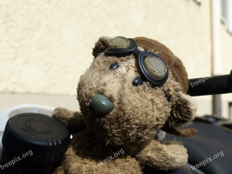 Bear Motorcycle Glasses Remove Before Flight Brown