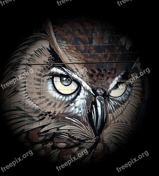 Owl Drawing Bird Art Eagle Owl