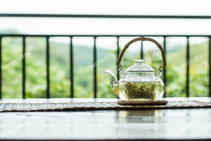 Spring Alpine Tea Garden Free Photos