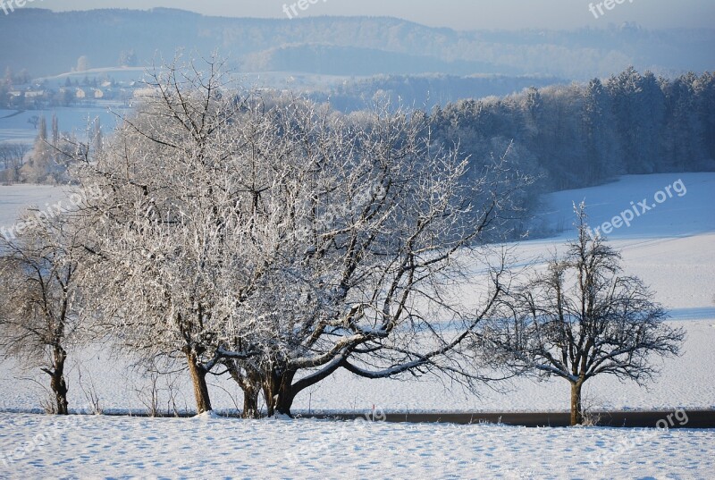 Winter Snow Wintry Cold White