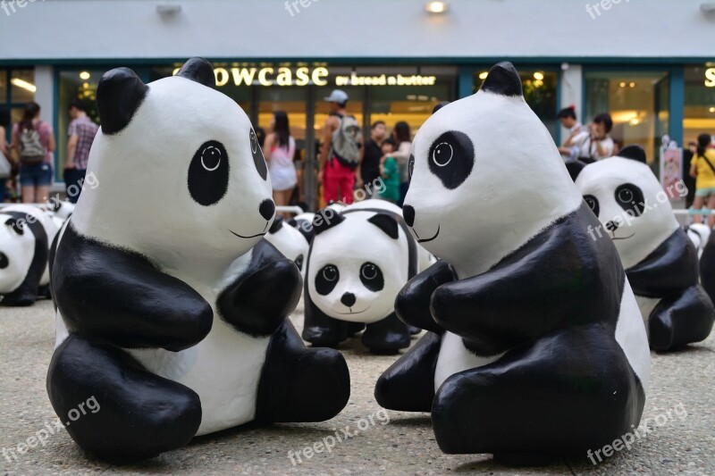 Hongkong Panda Art Pmq Central