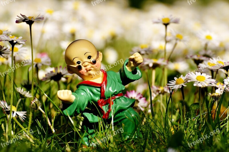 Karate Figure Funny Meadow Daisy