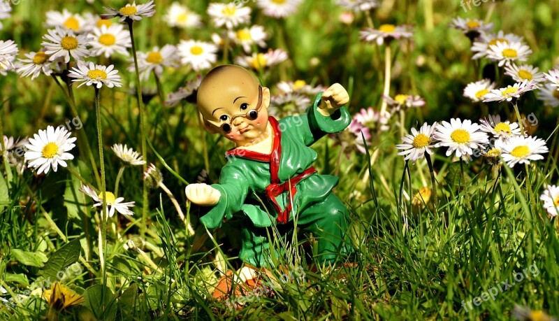 Karate Figure Funny Meadow Daisy