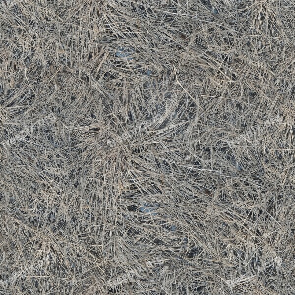 Texture Seamless Tileable Seamless Pattern Dry