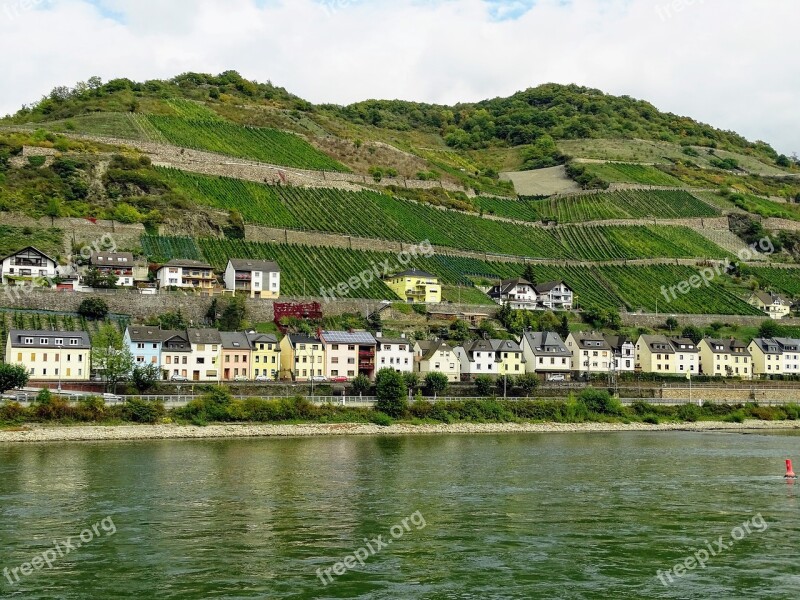 Vineyards Mosel Nature Wine Landscape