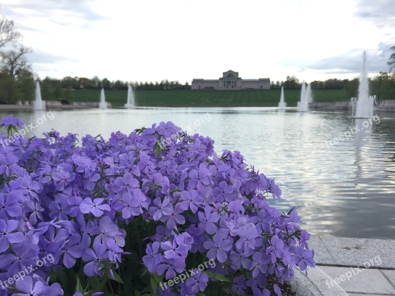 Flower Purple Fountain Garden Spring