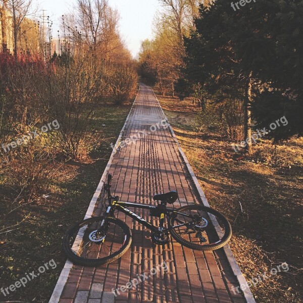 Spring Bicycle Bike Street Photography Sunset