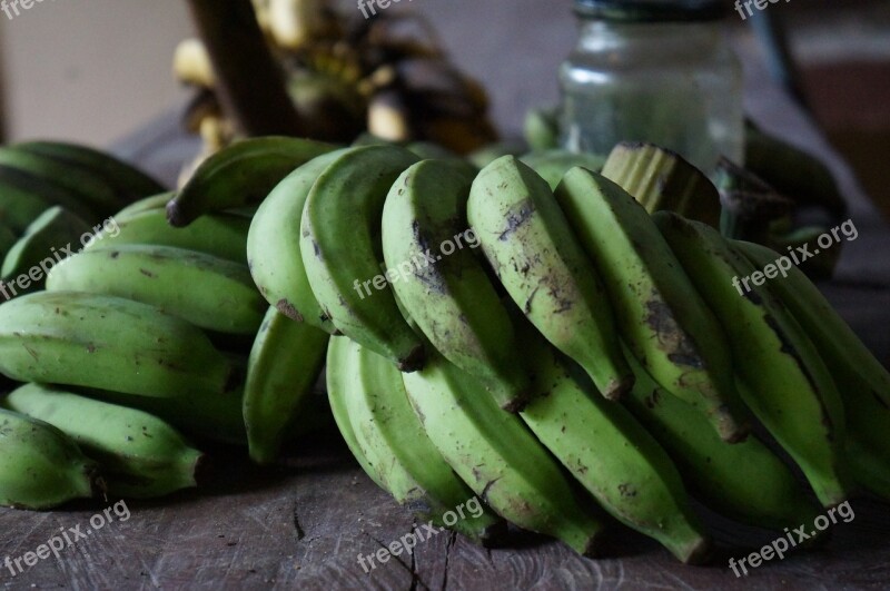 Bananas Green Cultivation Fruit Nature