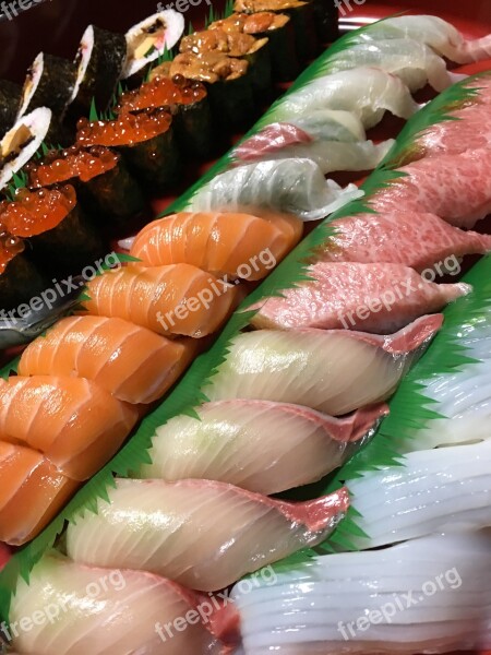 Sushi Japanese Cuisine Nigiri Free Photos