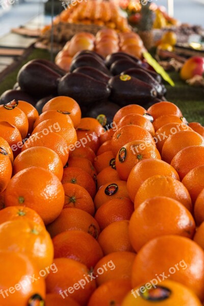 Orange Fruit Sun Clementines Orange Juice