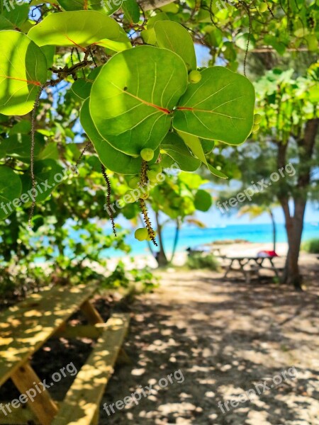 Nature Beach Water The Coast Landscape