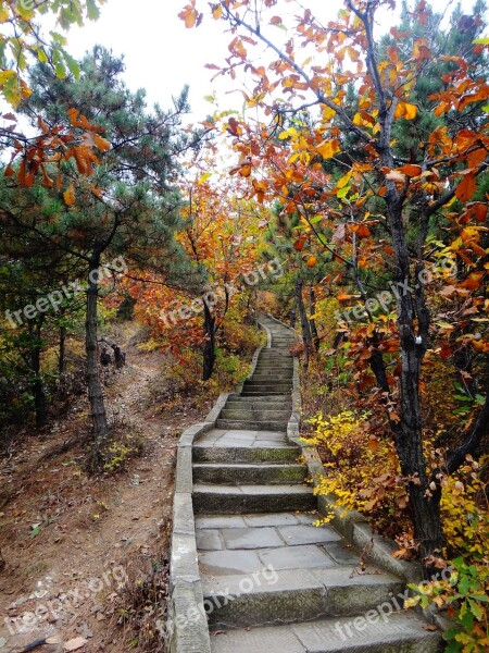 China Stairs Autumn Colorful Leaves