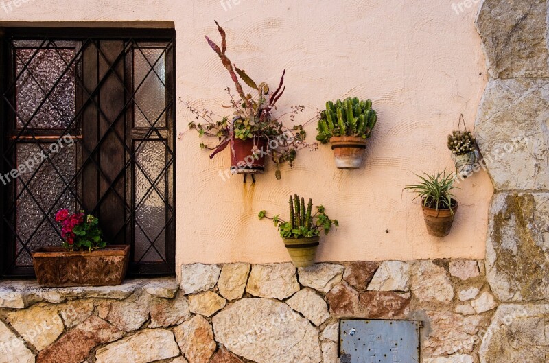 Window Cactus Plants House Pot