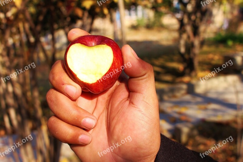 Apple Heart Love Red Fruit