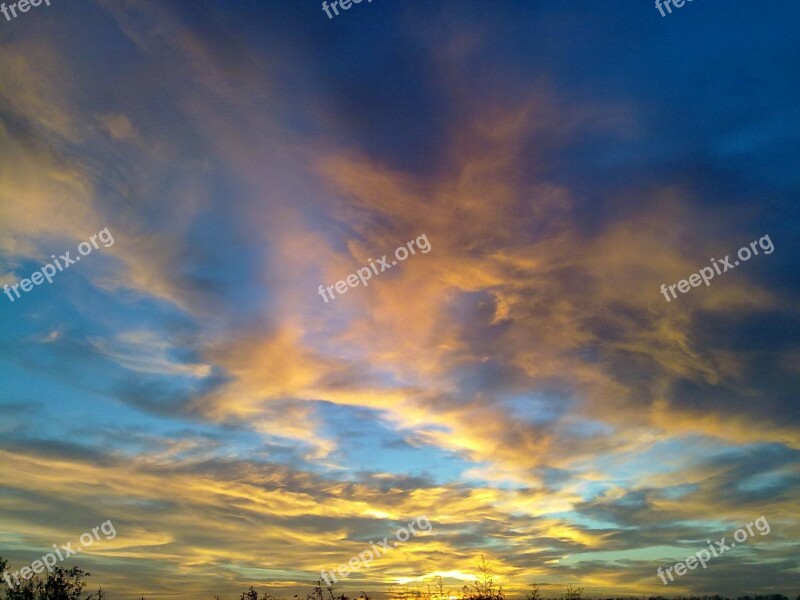 Seaside Birds Sunrice Sky Blue