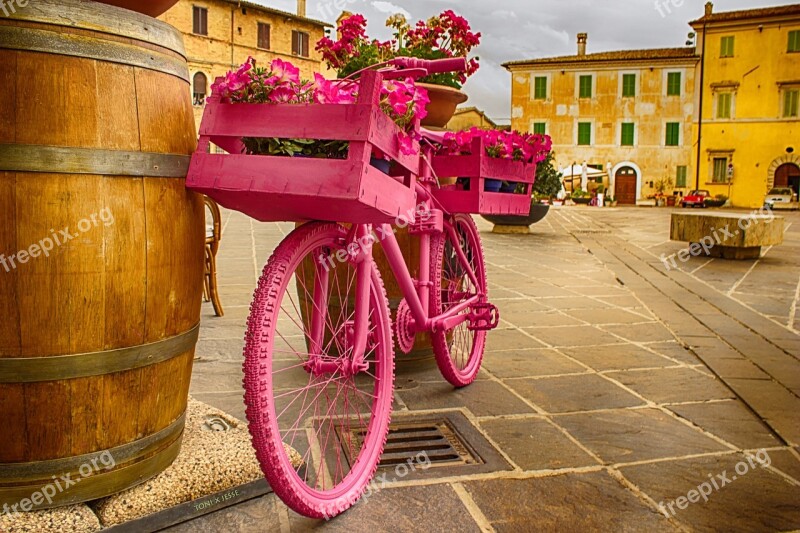 Bicycle Rosa Botte The Giro D'italia Flowers