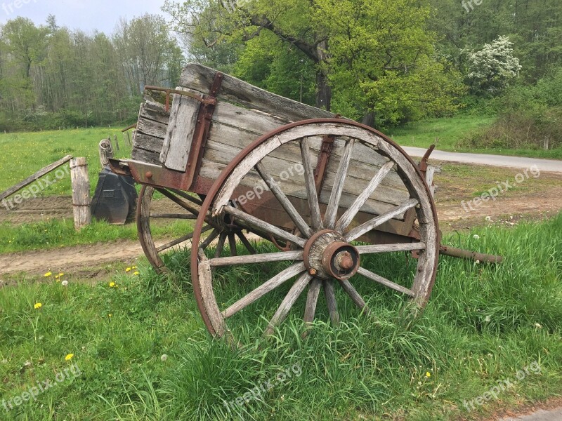 Coach Horse Drawn Carriage Wagon Antique Team