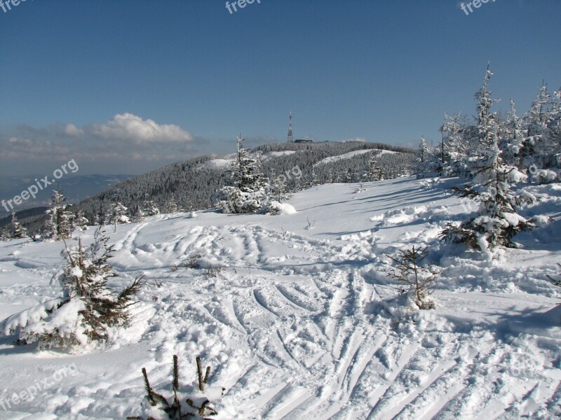 View Skis Snow Mountains Biel