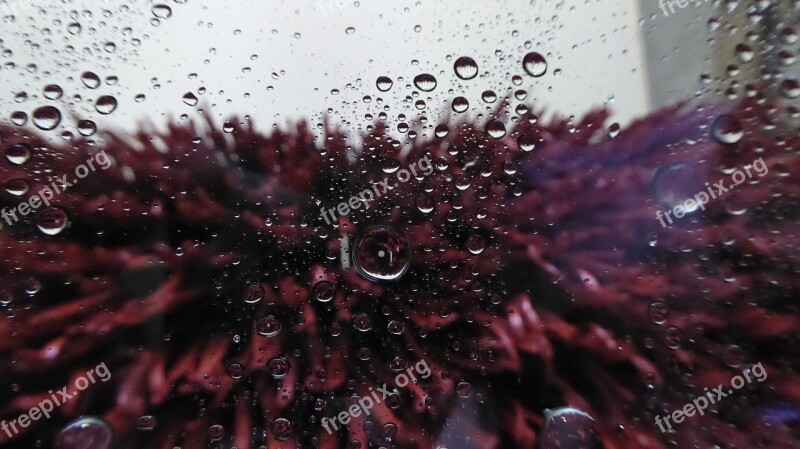 Car Wash Inside View Window Water Brushes