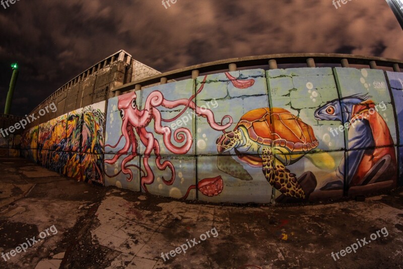 Graffiti Wall Architecture Painting Mural