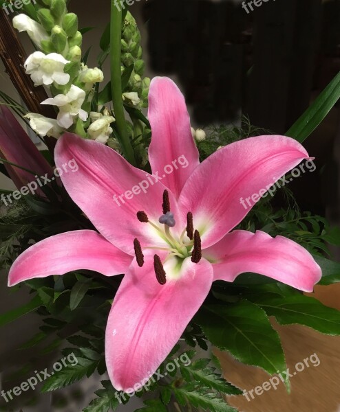 Bouquet Pink Blossom Bloom Nature