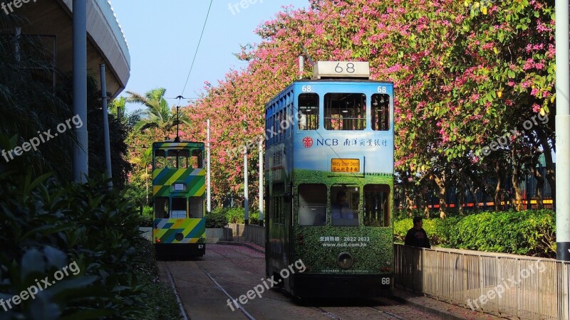 Hongkong Tram Urban Railway Tourism