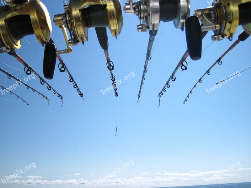 Fishing Deep Sea Fishing Rods Fish Marine