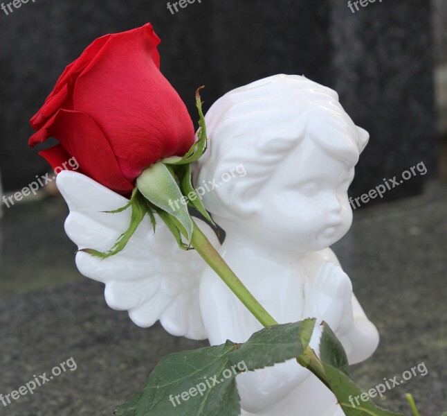 Stop Child Suicide Angel Red Rose Stop Teenager Suicide Stop Student Suicide