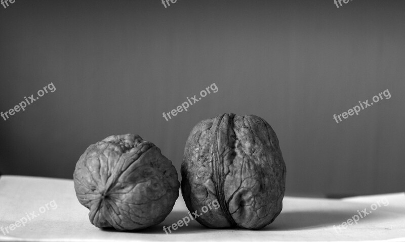 Walnuts Dried Fruit Sano Shell Walnut