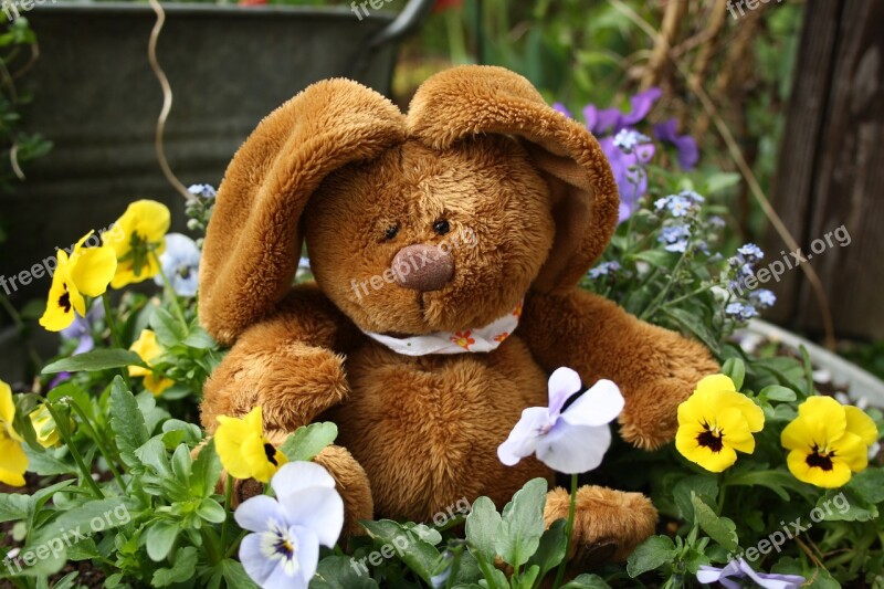 Easter Hare Easter Bunny Teddy Bear Flowers