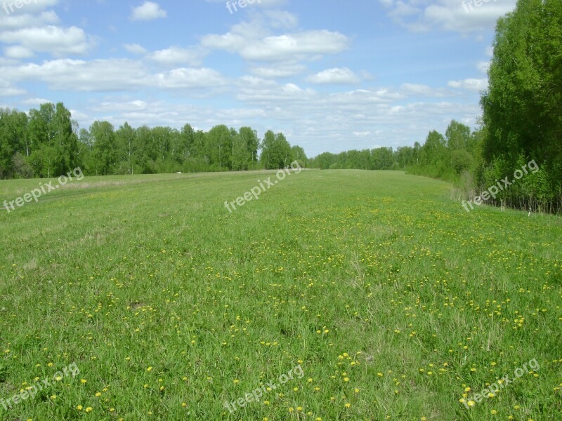 Box Spring Clearing Mowing Free Photos