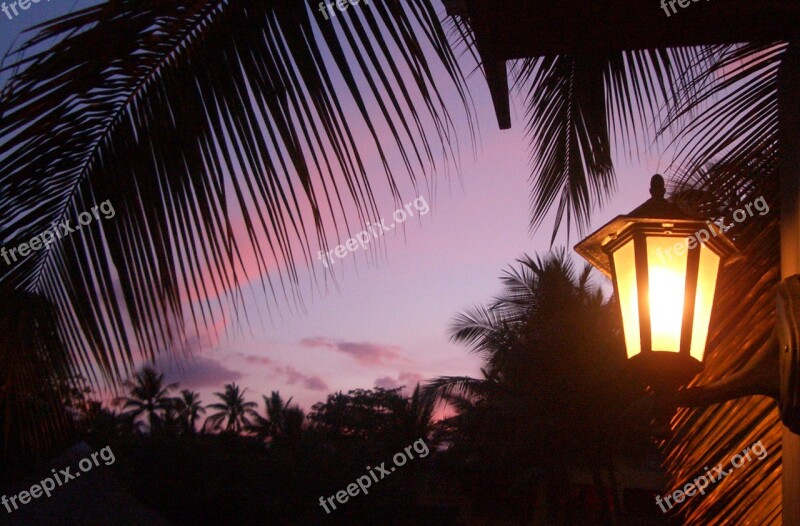 Sunset Dominican Republic Light Palm Trees Evening Sky