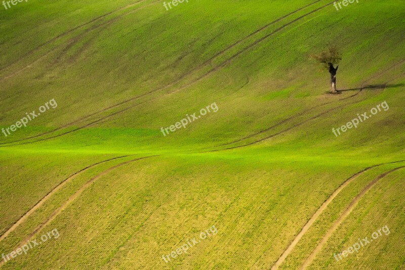 Czech Republic Landscape Field Meadow Scenic